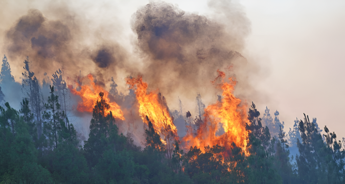 L'ANEF publie son bulletin de risque des incendies de forêts pour la période allant du 15 au 18 juillet