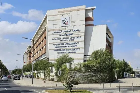 La FM6SS logra reprogramar células sanguíneas en células madre pluripotentes inducidas