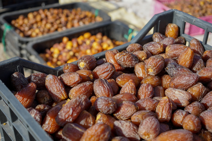 Campagne agricole 2025-2026: la production prévisionnelle des dattes s’élève à 160.000 tonnes