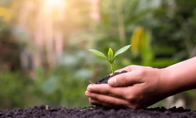 Recherche agricole et forestière : lancement à Rabat du projet "IBTIKAR"