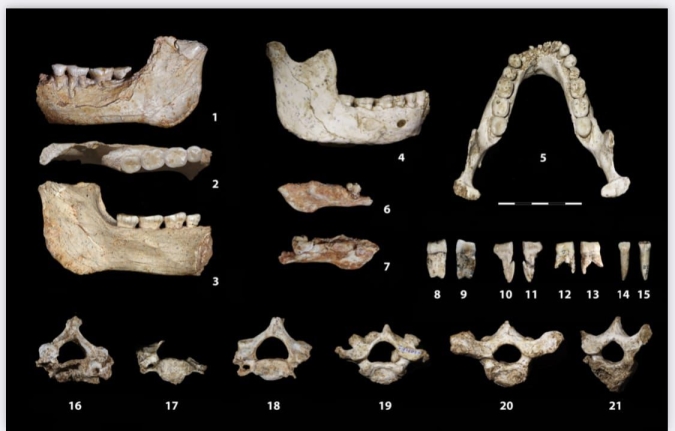 Fósiles humanos descubiertos en Casablanca arrojan una luz inédita sobre un período clave de la evolución humana