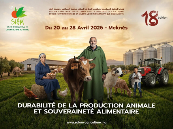 Le 18e SIAM du 20 au 28 avril à Meknès sous le signe de la durabilité de la production animale et de la souveraineté alimentaire