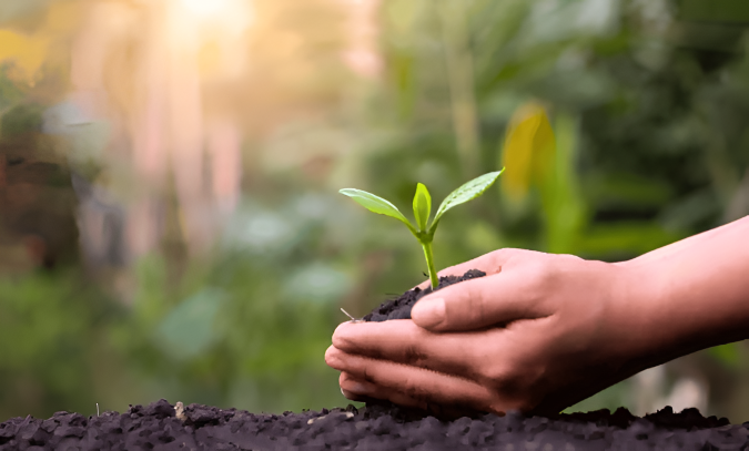 Lancement du programme "AgreenTech" pour promouvoir l'innovation dans le domaine agricole