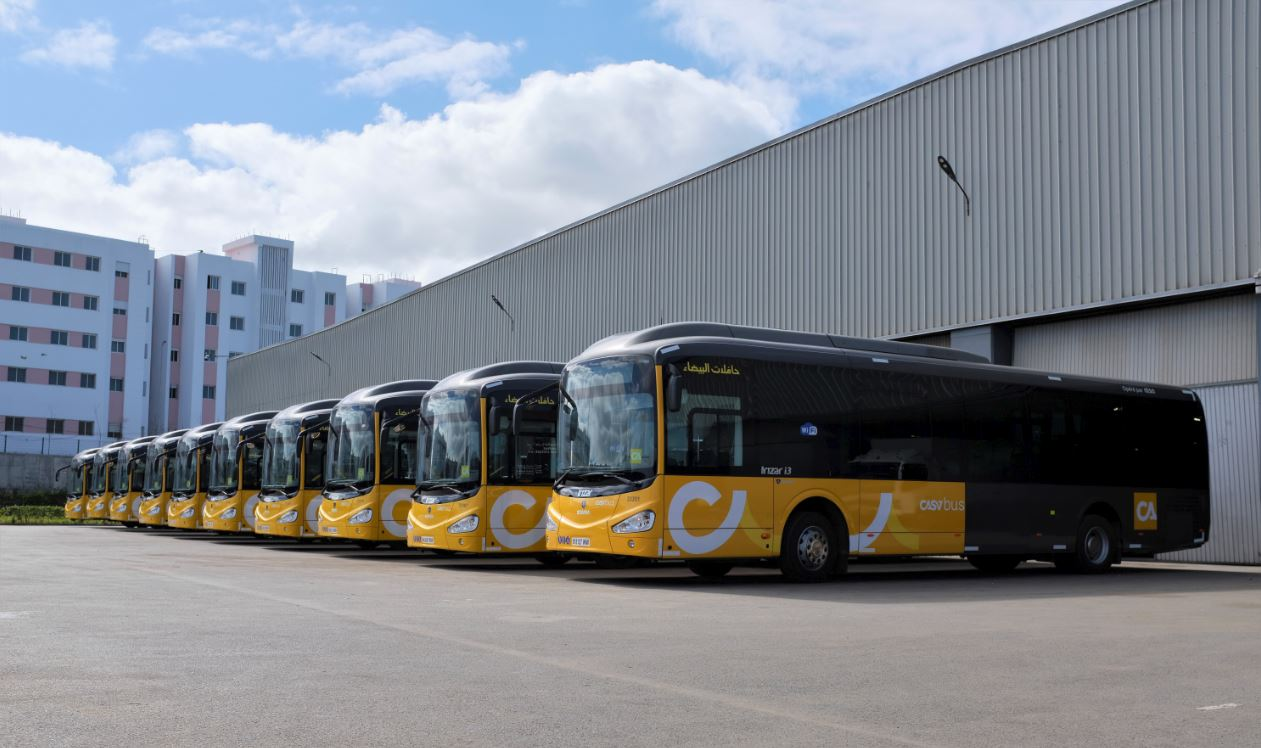 buses.png buses.png