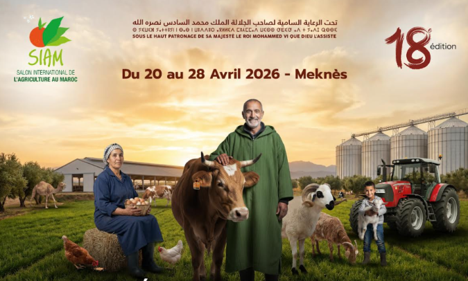 maroc